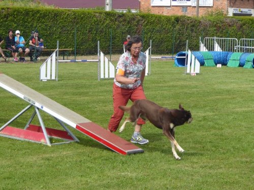 Concours d'agility, Montbard, 24 juin 2018