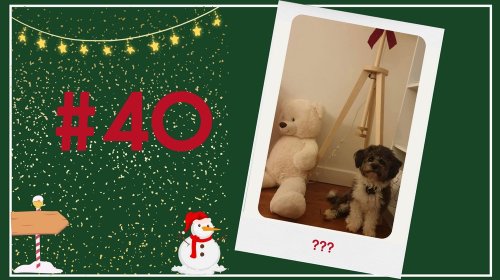 Concours photos 2024 : sur le thème de Noël