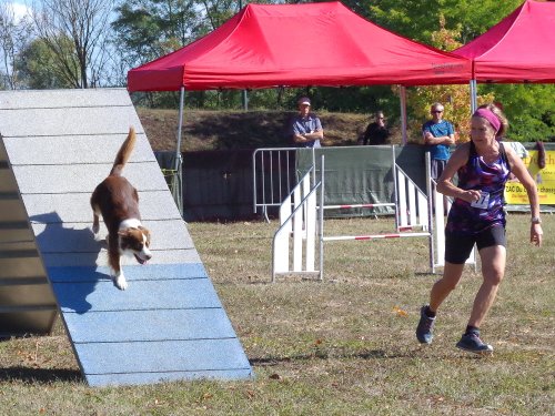 Concours d'agility, Fontaines 11 septembre 2022