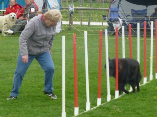 Concours d'agility, Barges, 16 avril 2017