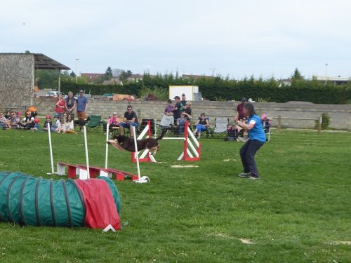 Concours d'agility, Barges, 21 avril 2019