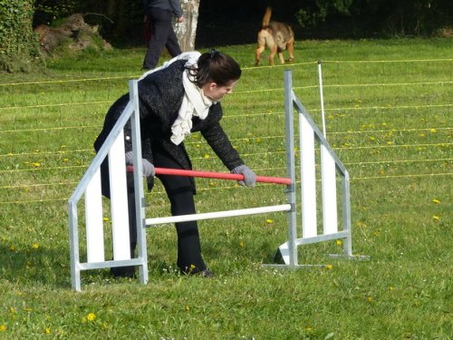 Premier concours d'agility de Fontaines, le 12 avril 2015