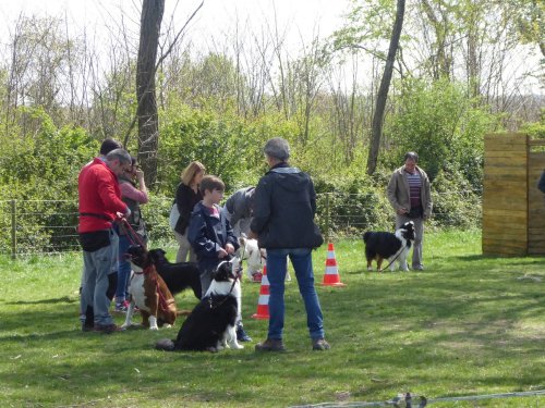 Les cours d'éducation, avril 2019