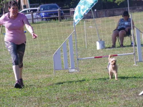 Concours d'agility, Fontaines, 9 et 10 septembre 2023