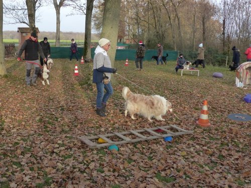 Education canine, 17 décembre 2022