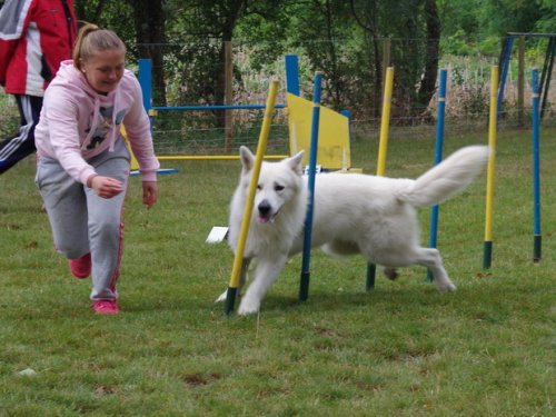 CAESC et Pass-agility Fontaines 17 septembre 2016