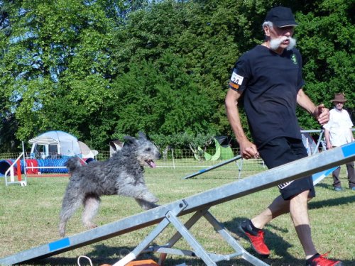 Concours d'agility de Fontaines, le 28 mai 2017