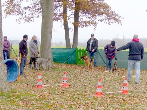 Education canine, 3 décembre 2022