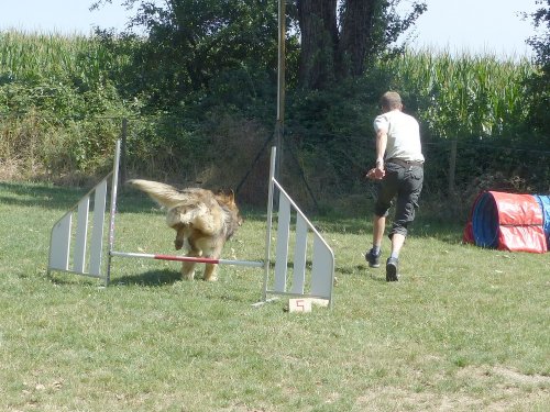 Initiation à l'agility, 19 juillet 2023