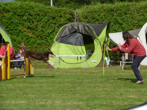 Concours d'agility, Autun, 10 septembre 2017