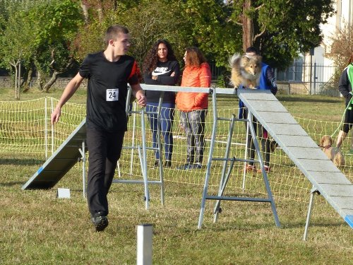 Concours d'agility de Fontaines, le 16 septembre 2018