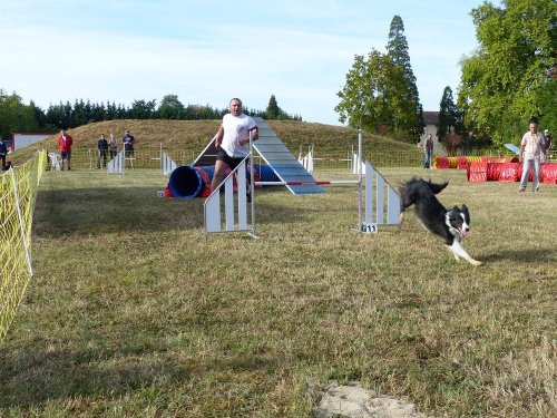 Concours d'agility de Fontaines, le 16 septembre 2018