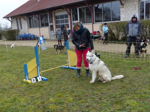 Démonstration au lycée agricole de Fontaines le 18 mars 2018