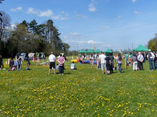 Premier concours d'agility de Fontaines, le 12 avril 2015