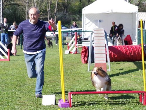 Concours d'agility, Macon, 26 mars 2017