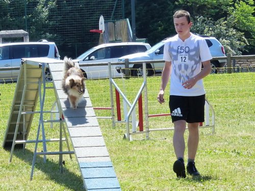 Concours d'agility de Fontaines, le 28 mai 2017