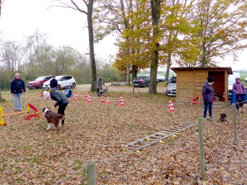 Education canine, 3 décembre 2022