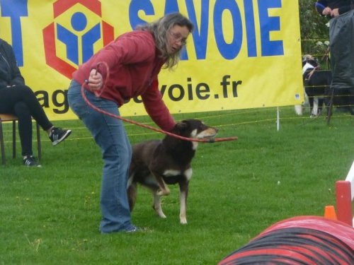 Concours d'agility, Barges, 16 avril 2017