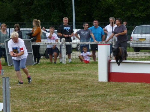 Concours d'agility, Montret, 30 juillet 2017