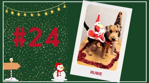 Concours photos 2024 : sur le thème de Noël