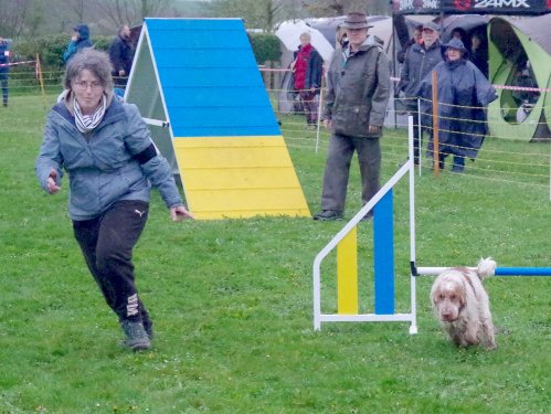 Concours d'agility, Barges, 31 mars 2024