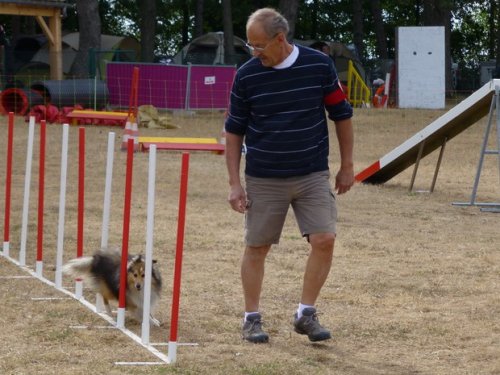 Concours d'agility, Nuits Saint Georges, 26 juillet 2015