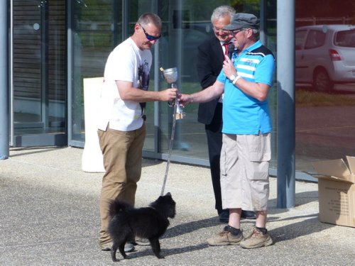 Concours d'agility de Fontaines, le 29 mai 2016