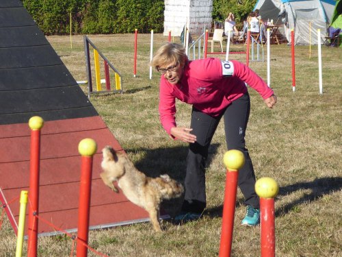 Concours d'agility, Autun, 9 septembre 2018