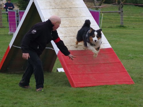 Concours d'agility, Barges, 1 avril 2018