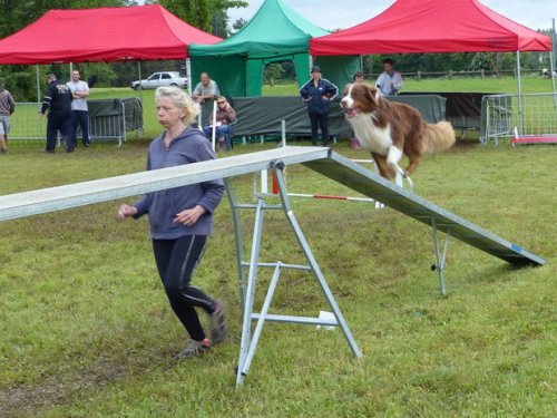 Concours d'agility de Fontaines, le 29 mai 2016