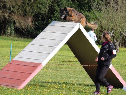 Premier concours d'agility de Fontaines, le 12 avril 2015