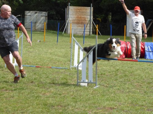 Concours d'agility, Daix, 17 juin 2018