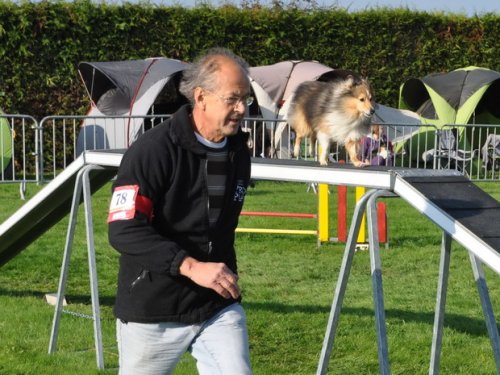 Concours d'agility, Autun, 27 septembre 2015