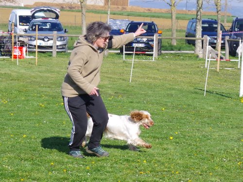 Concours d'agility, Barges, 9 avril 2023