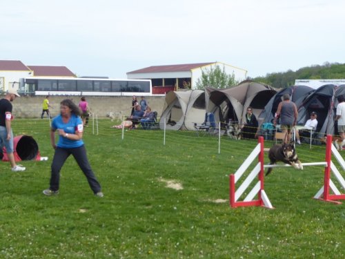 Concours d'agility, Barges, 21 avril 2019