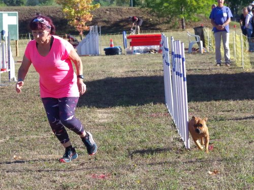 Concours d'agility, Fontaines 11 septembre 2022