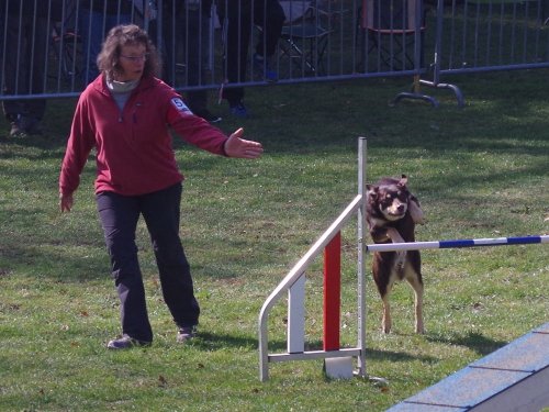 Concours d'agility, Le Creusot, 24 mars 2019