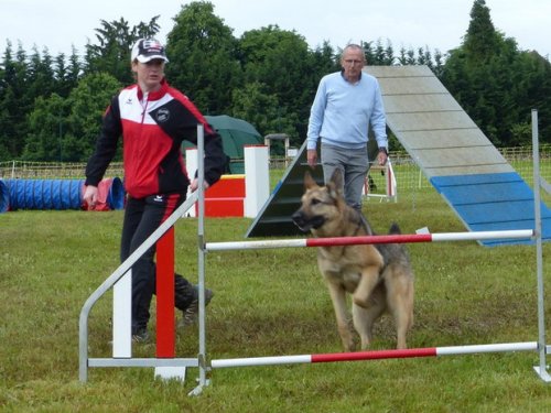 Concours d'agility de Fontaines, le 29 mai 2016