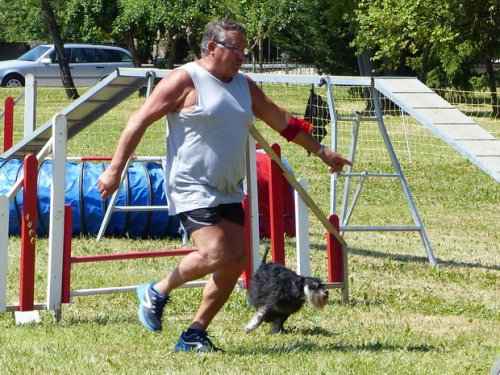 Concours d'agility de Fontaines, le 28 mai 2017