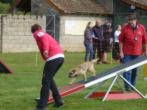 Concours d'agility, Autun, 10 septembre 2017