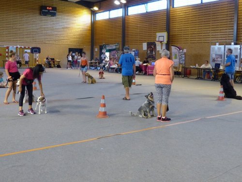 Forum des associations, 31 août 2019