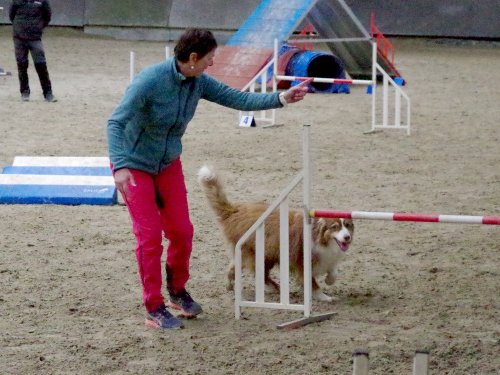 Concours d'agility, Dijon 8 décembre 2024