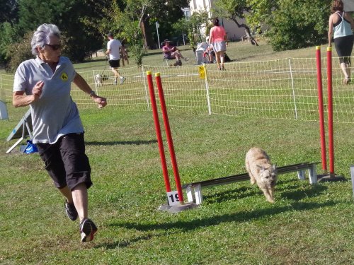 Concours d'agility, Fontaines, 9 et 10 septembre 2023