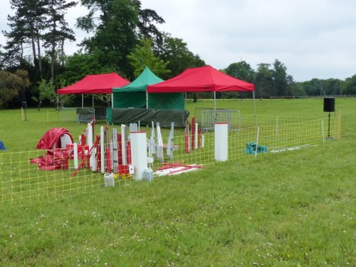 Concours d'agility de Fontaines, le 29 mai 2016