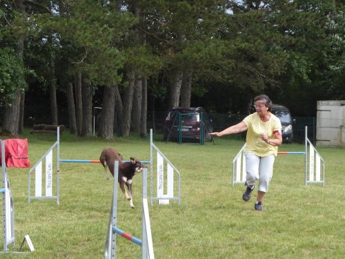 Concours d'agility, Daix, 17 juin 2018