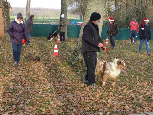 Education canine, 17 décembre 2022