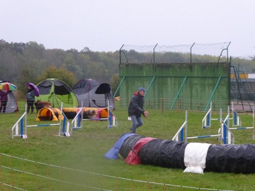 Concours d'agility, Sainte Marie la Blanche, 20 octobre 2019