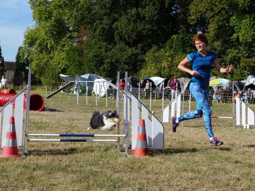 Concours d'agility de Fontaines, le 16 septembre 2018