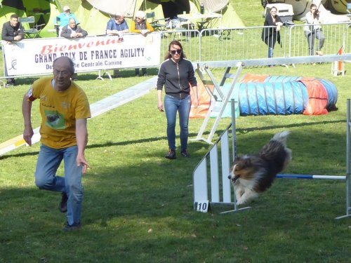 Concours d'agility, Le Creusot, 24 mars 2019