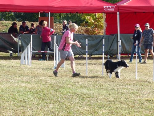 Concours d'agility de Fontaines, le 16 septembre 2018